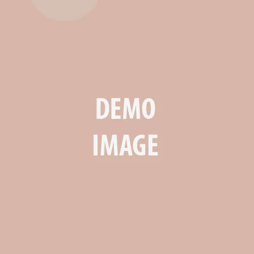 demo-image-500×500 demo-image-500x500